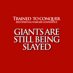 Trained to Conquer Towel